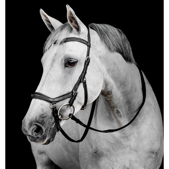 Hoofdstel Horseware Micklem Deluxe