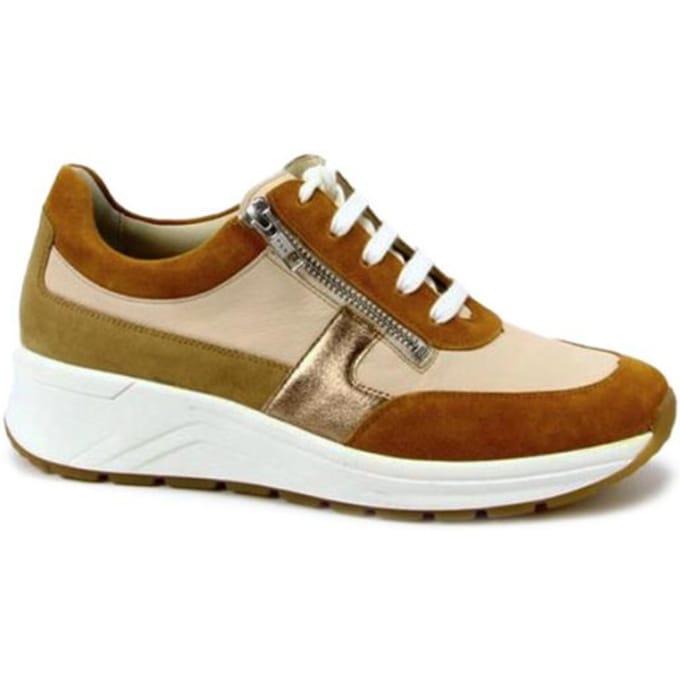 Solidus 46022