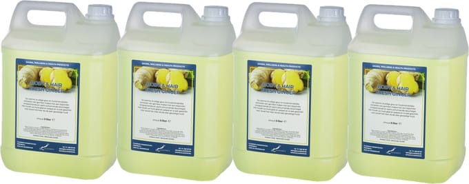 Body & Hair Fresh Ginger 5 Liter - set van 4 stuks - 2 in 1 voor lichaam en haar.