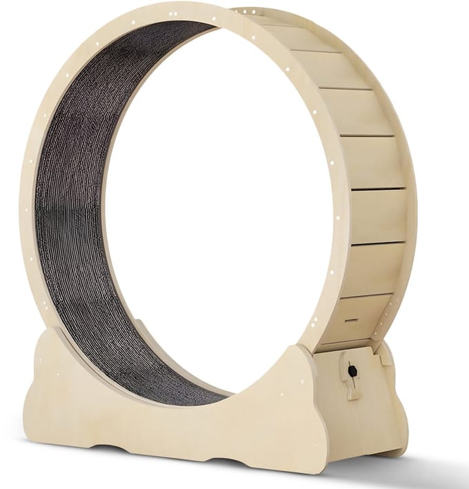 Pawsource Katten Loopwiel XL - Looprad Voor Kat - Kattenloopwiel - Fluisterstil Kattenwiel