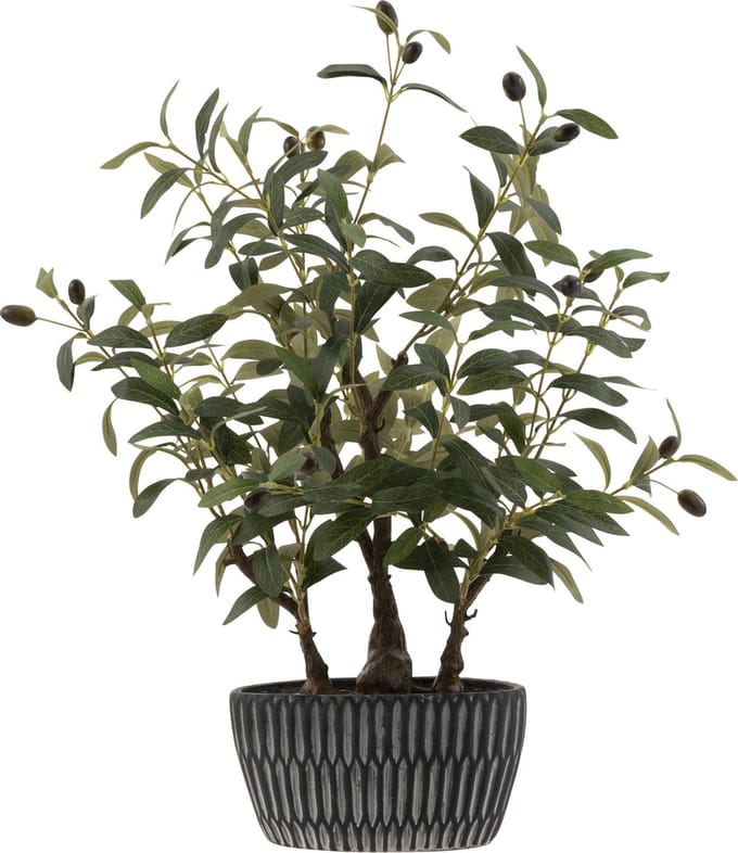 J-Line olijfboom in cement pot - kunststof - groen