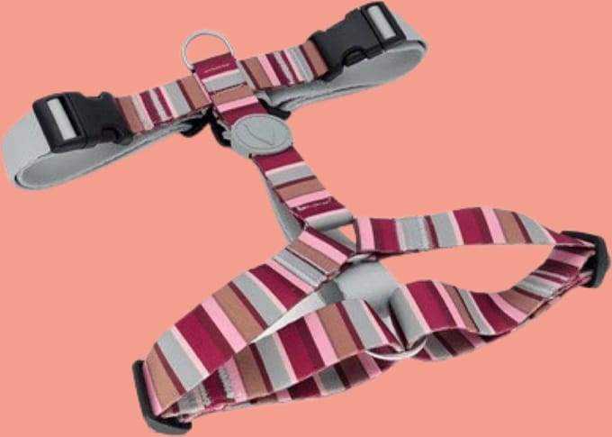 Morso - Hondentuig H-Tuig - Gerecycled - Skyline Rood/ Roze - 70-100X2,5 cm