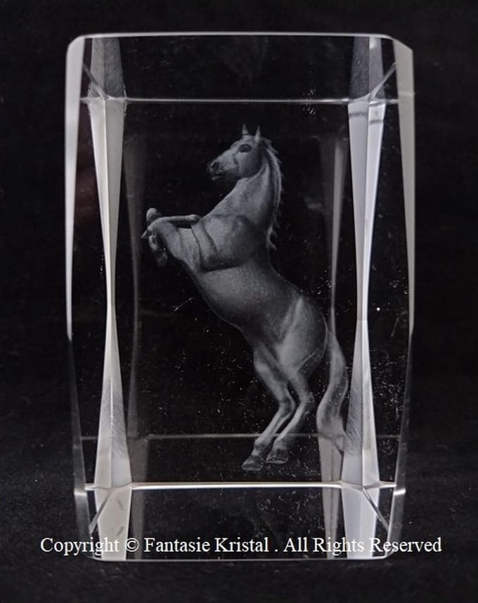Laserblok Paard