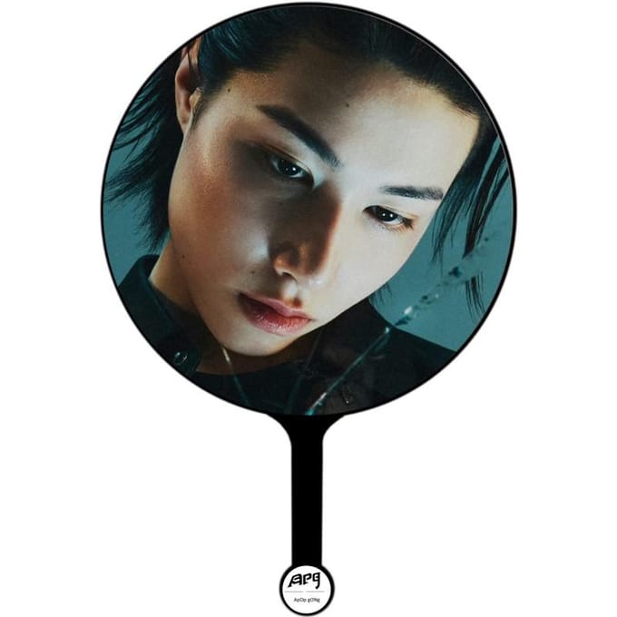 LNGSHOT × ApopGong Exclusief IMAGE PICKET LOUIS gray