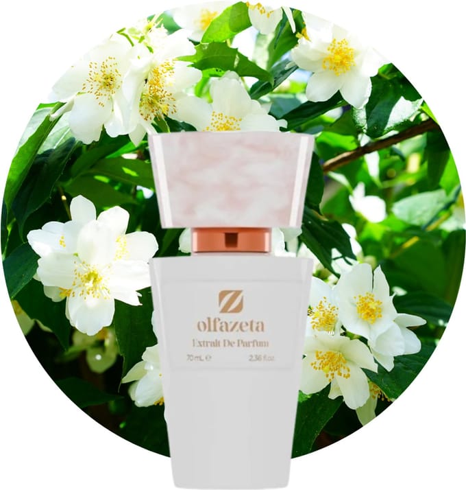 Olfazeta Chogan Parfum - Nr. 131 - Good Girl - Bloemig - 70 ml