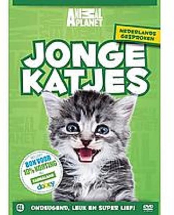 Jonge Katjes