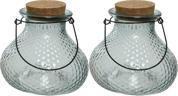 Decoris wespenvanger/wespenval - set 2x - glas - blauw - D14 x H13 cm