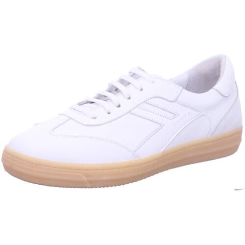 Lage Sneakers Andrea Conti -