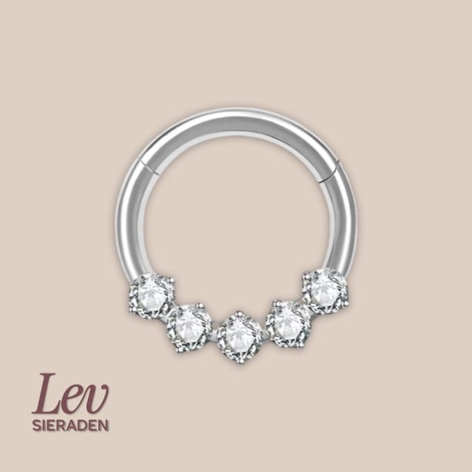 Lev Sieraden - Titanium premium neus ring - 5 zirkonia segment ring - 1.2x8mm - Zilver - segment ring - neuspiercing - tragus piercing - Oorpiercing