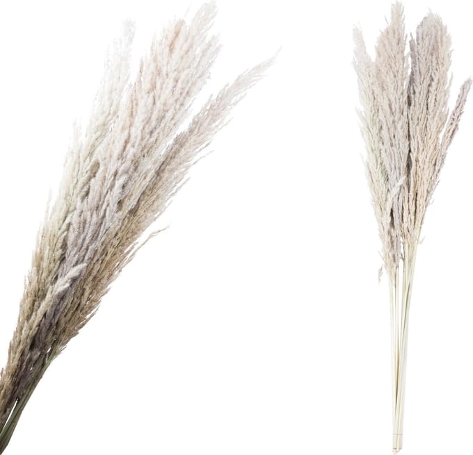 Fluffy grass dried 111 cm stuks