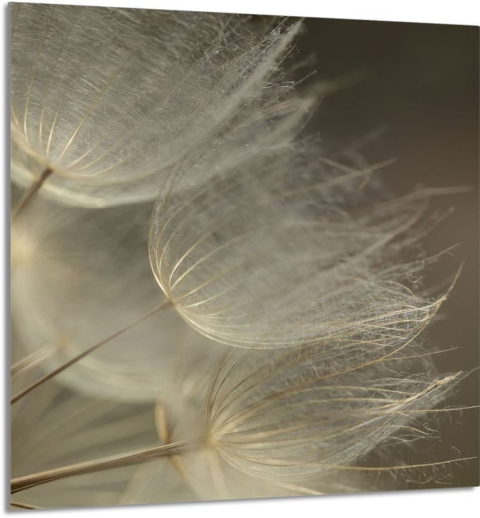 TMK ArtDeko - Snijplank - Gehard Glas - 60x65 cm - Bloemmotief