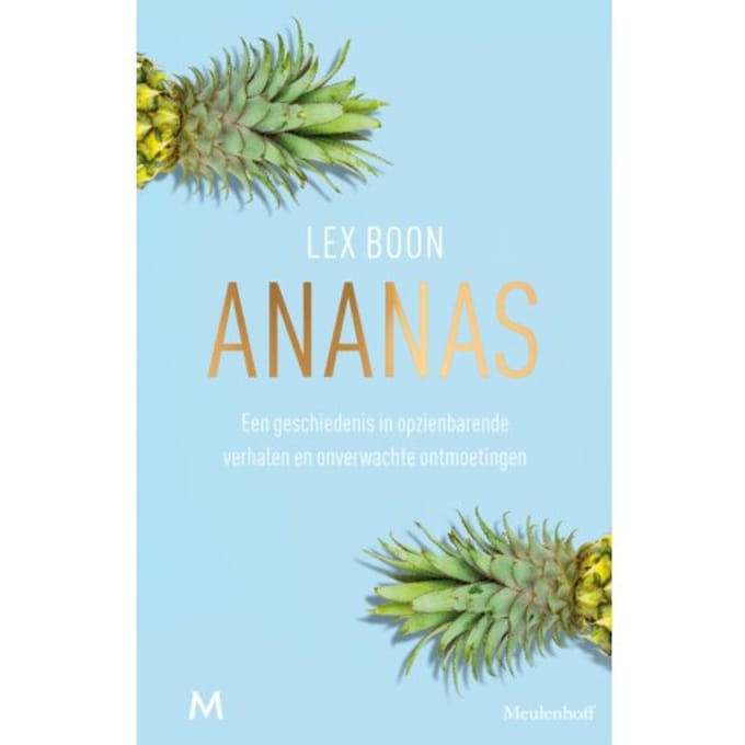 Ananas - Lex Boon