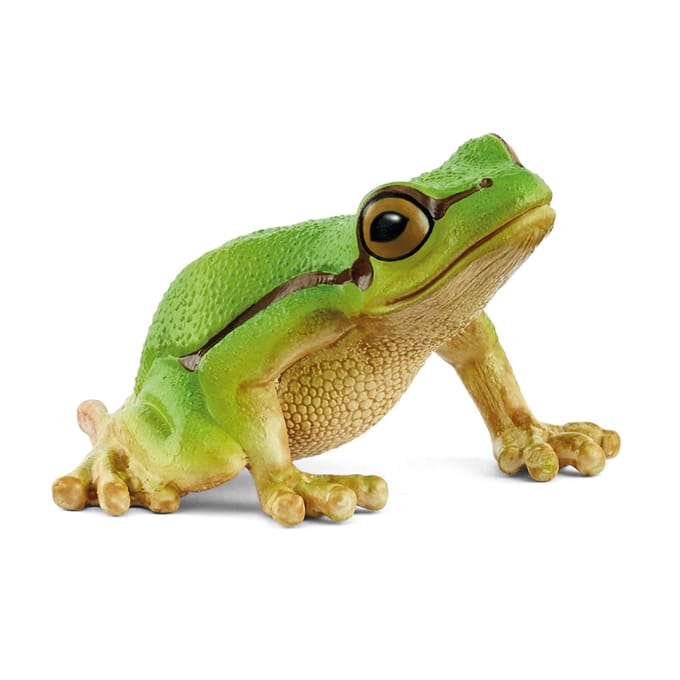 schleich WILD LIFE - Europese boomkikker - 14882