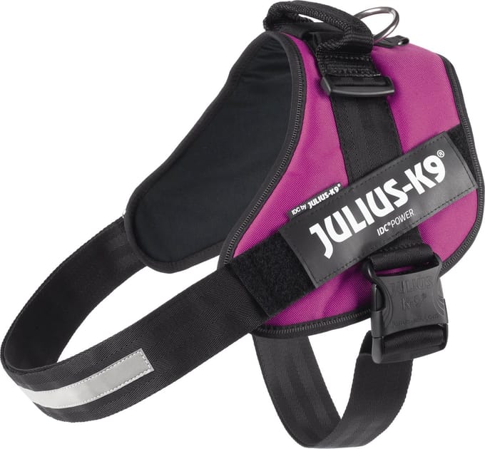 Julius-K9 IDC®Powertuig, 3XL - maat 4, donkerroze