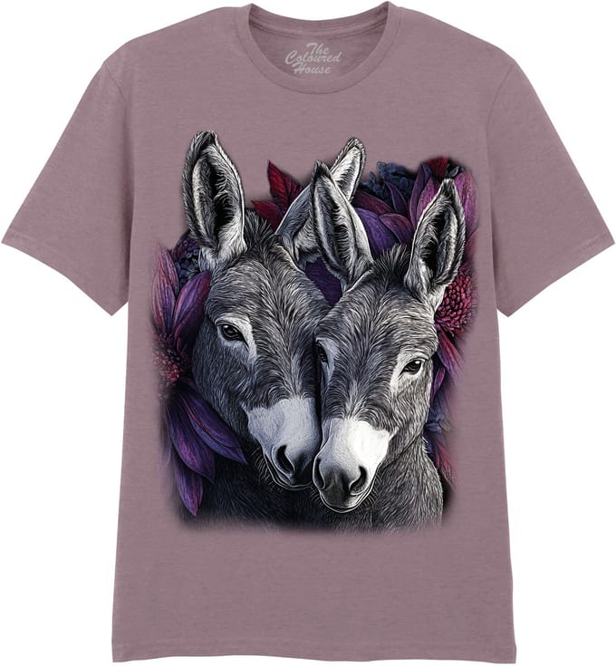 Ezels Donkey Pair The Coloured House T-shirt S
