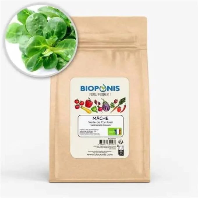 Voeding voor de moestuin Bioponis Verte de Cambrai (x5)