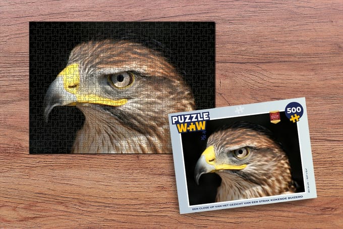 Puzzel Een close up van het gezicht van een strak kijkende buizerd - Legpuzzel - Puzzel 500 stukjes