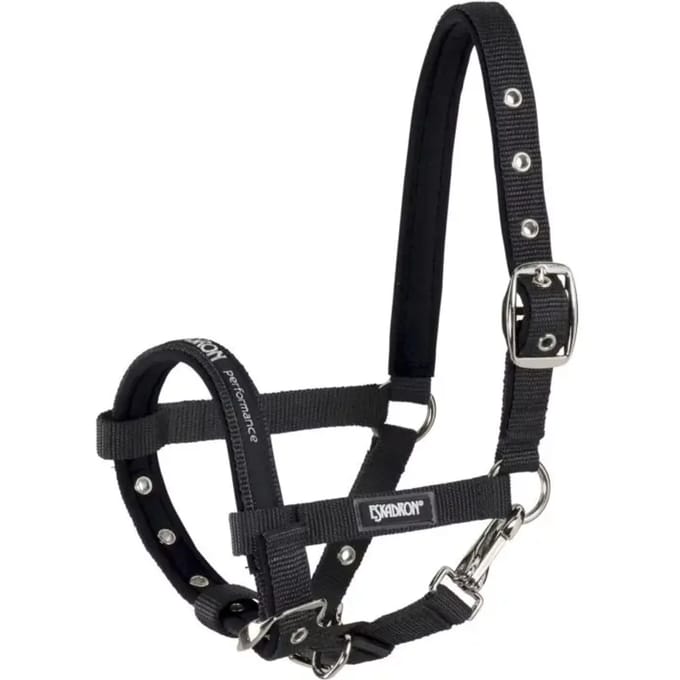 Eskadron Veulenhalster Black