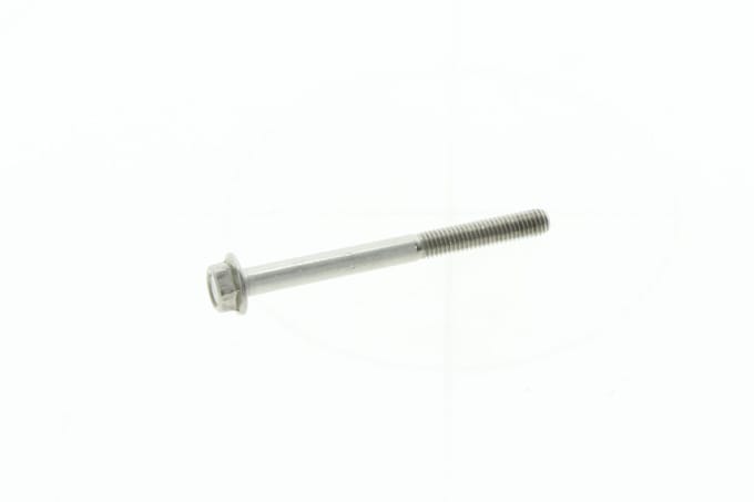 Screw