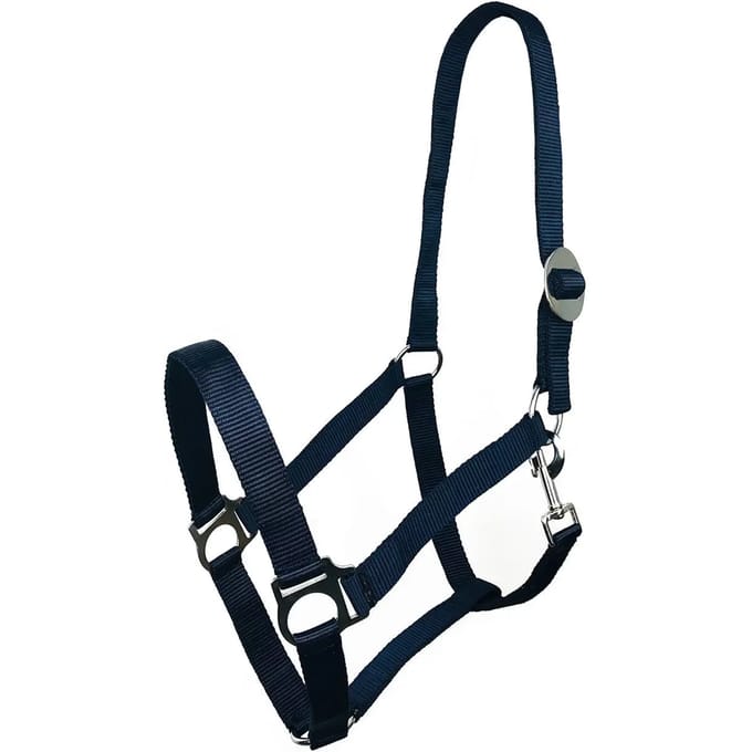 Halster voor paarden York Harmony