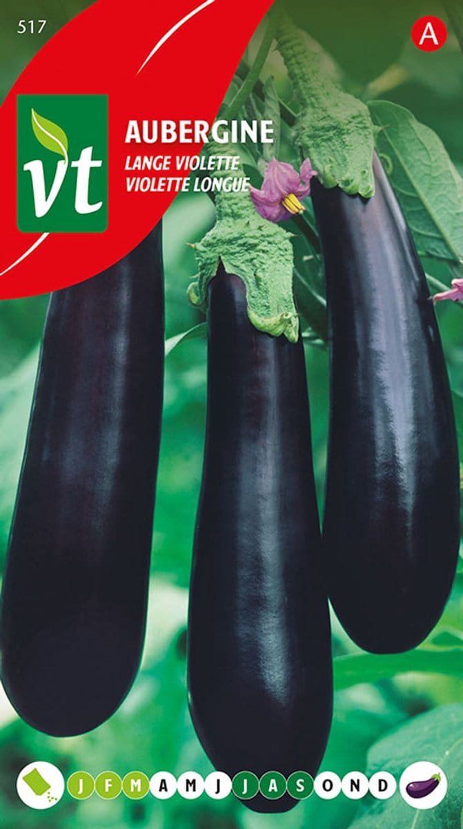 Aubergine lange violette - Langwerpige aubergine met intense violette kleur