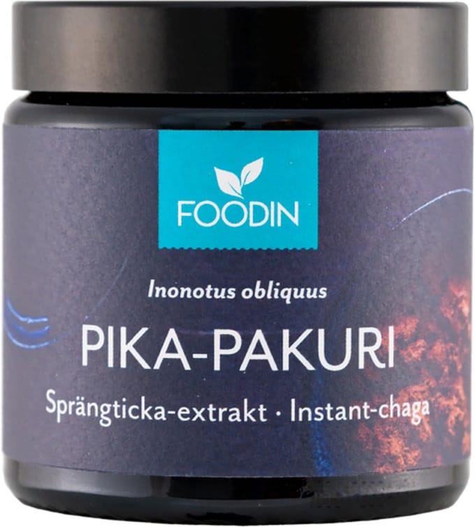 Instant Chaga Extract-Foodin