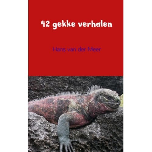 42 Gekke Verhalen - Hans van der Meer