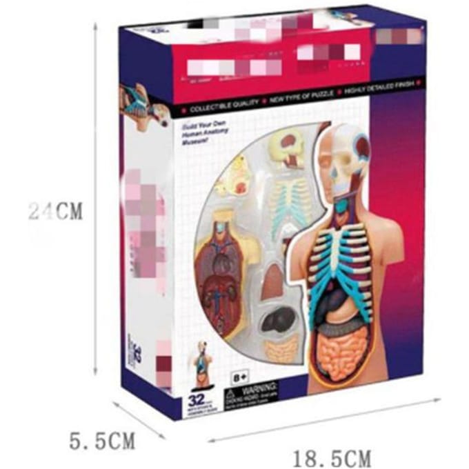 4D Master Puzzel Menselijk Lichaam Orgaan Anatomisch Model Bouwspeelgoed Medisch Lesmodel Biologische Educatieve Speelgoed
