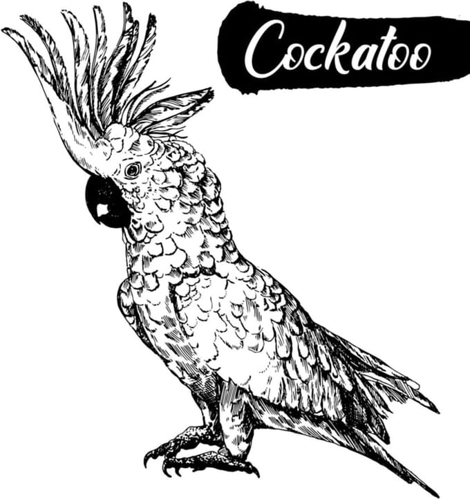 Muursticker Kaketoe