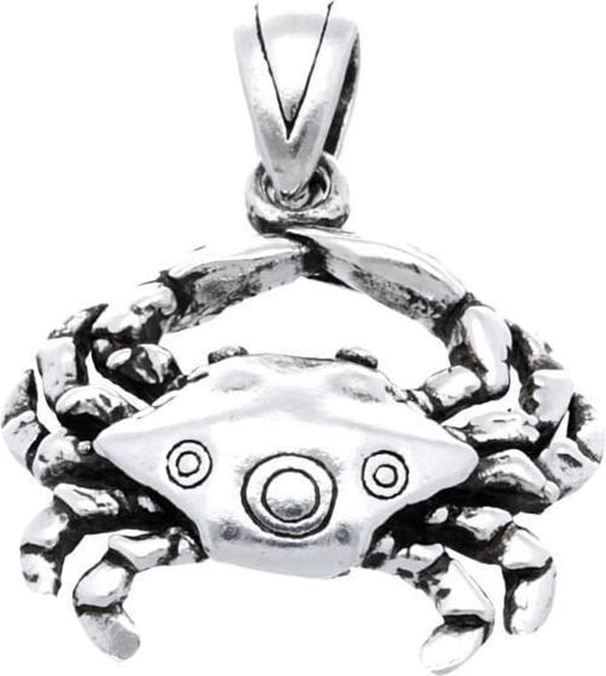 Zilveren Krab in detail kettinghanger