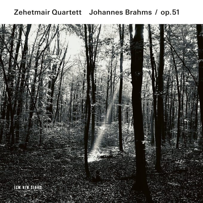 Zehetmair Quartett - Brahms: String Quartets Op. 51 (CD)