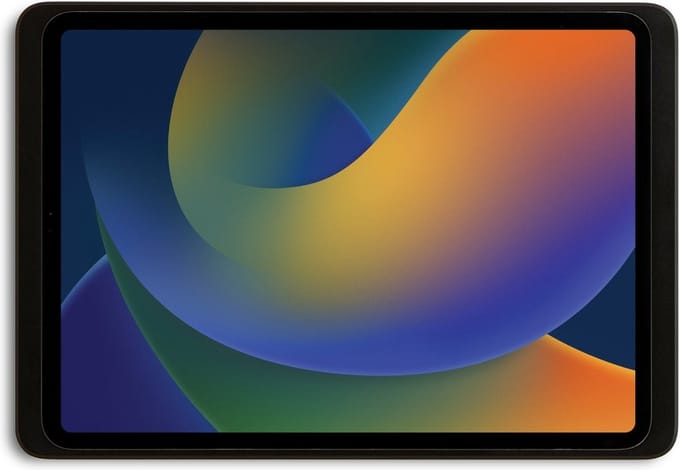 Dame Wall 2.0 iPad 10.9" (10th en 11th gen.)