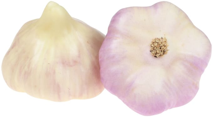 Kunstgroentendecoratie knoflook roze, wit Ø6,5cm 2 st