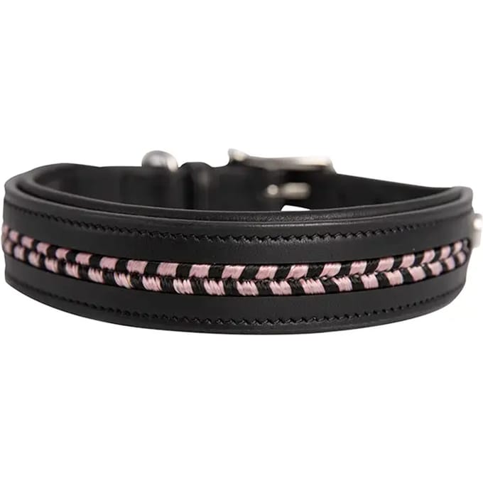 Leren halsband Antarès