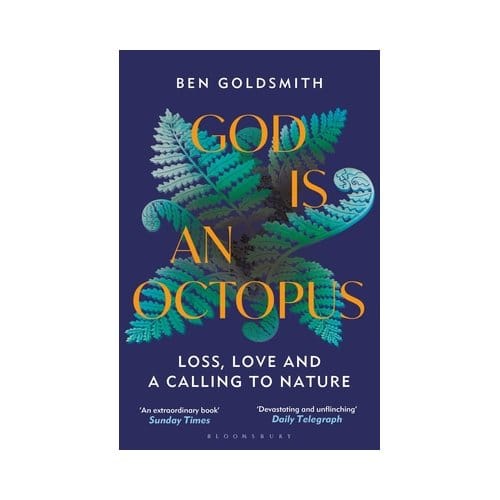 God Is An Octopus - Ben Goldsmith