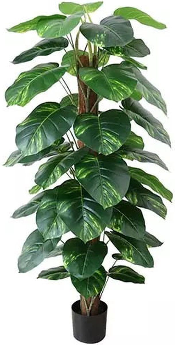 Kunstplant Dieffenbachia - 152 cm