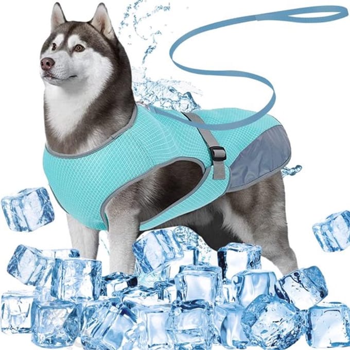 Koeljas voor honden - ademend SVGCommerce