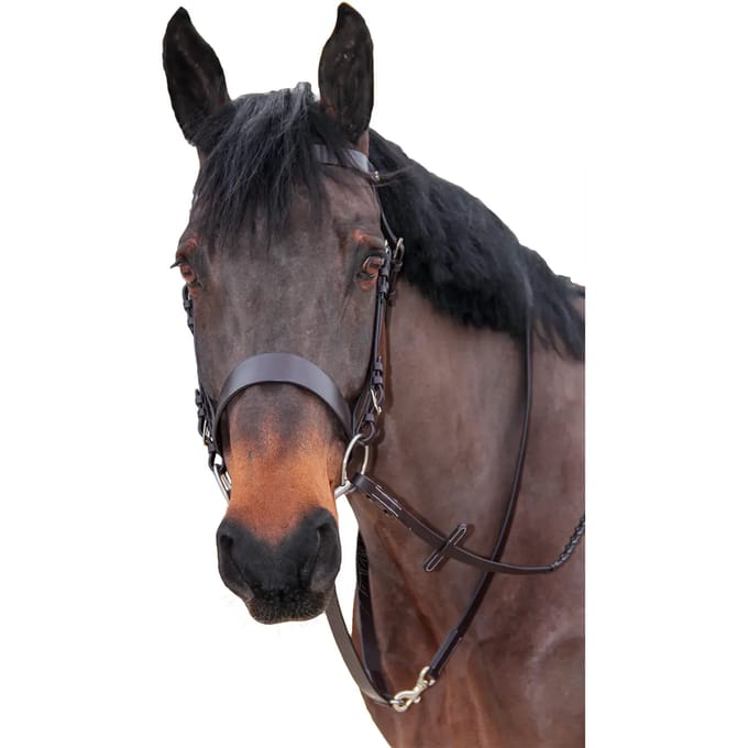 Hoofdstellen voor paarden Canter