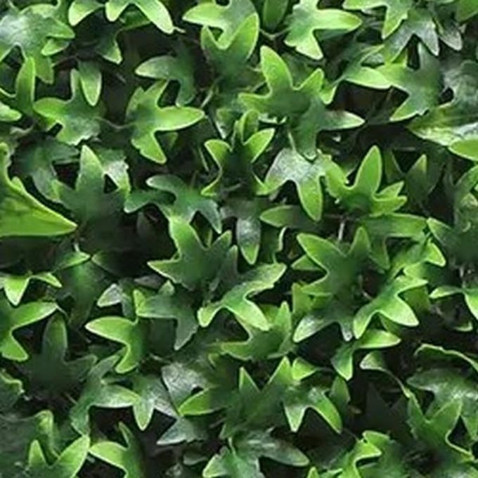 Kunstplanten mat 50x50 cm hedera Buitengewoon de Boet