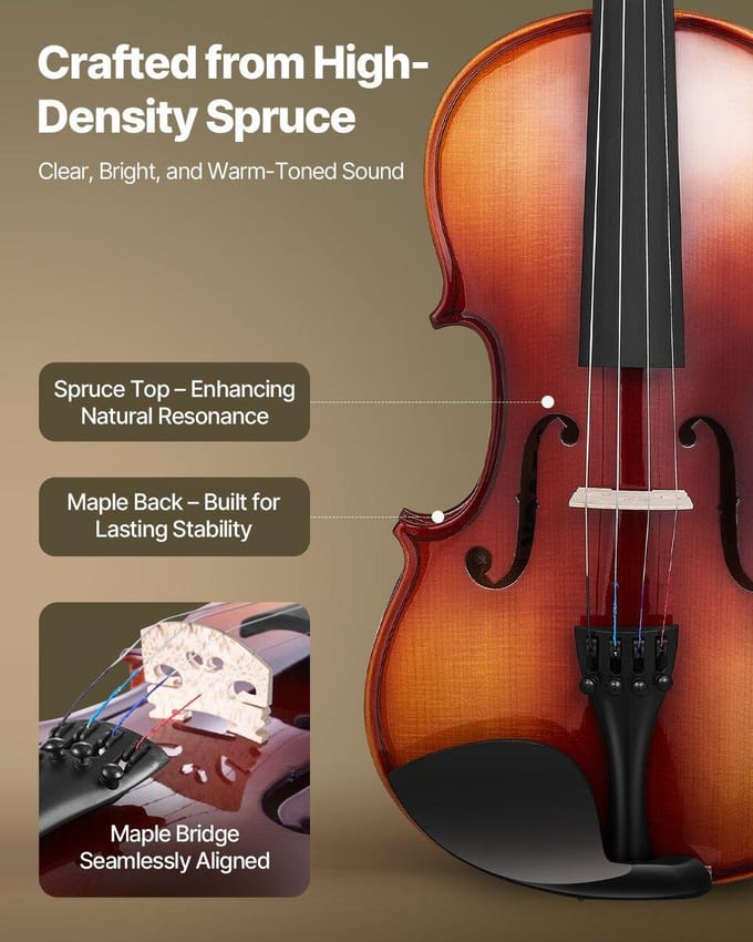 Viool 355mm Volledige Maat Fiddle Set Massief Hout voor Beginner Glanzend Bruin