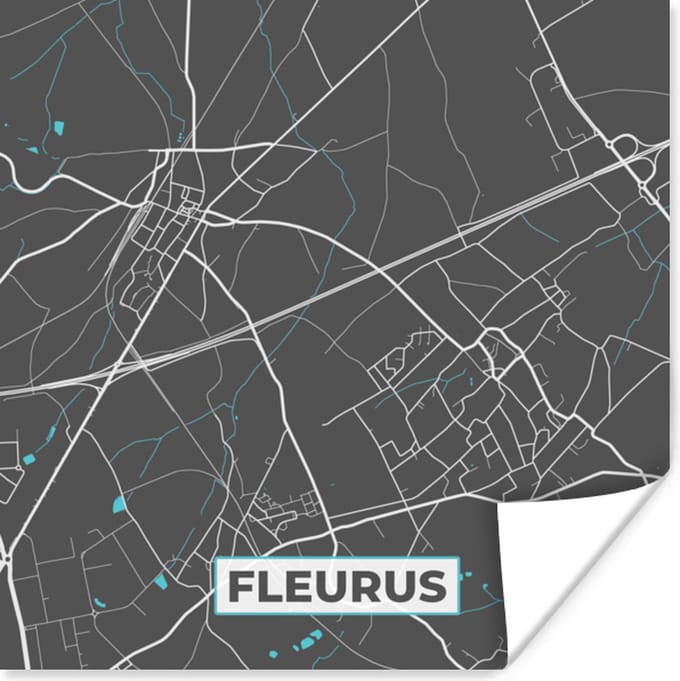Poster België – Fleurus – Stadskaart – Kaart – Blauw – Plattegrond - 75x75 cm