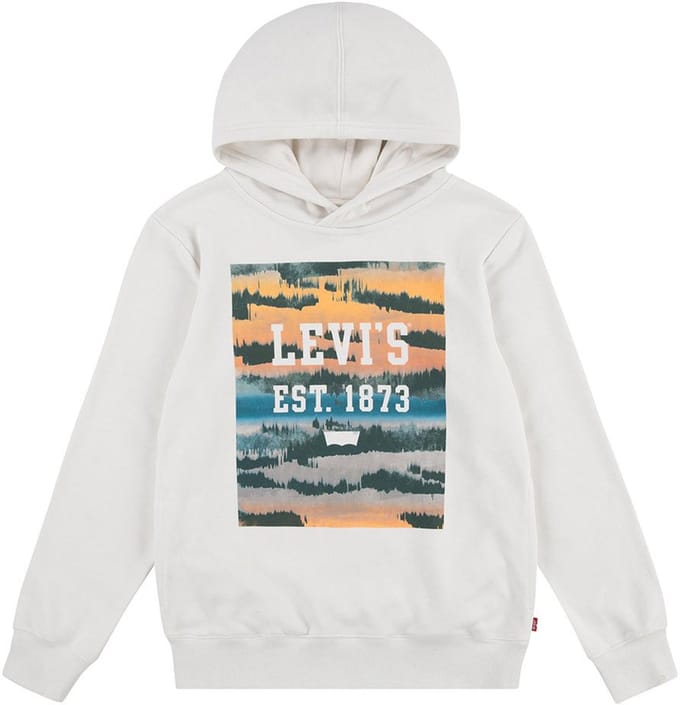 Levi´s ® Kids Landscape Box Hoodie Beige 6 Years Jongens
