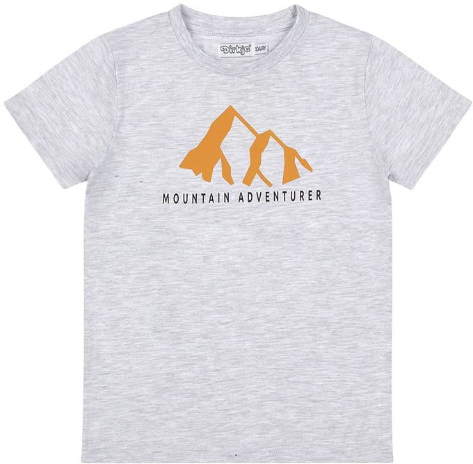 Dirkje Limited Edition T-shirt Grey