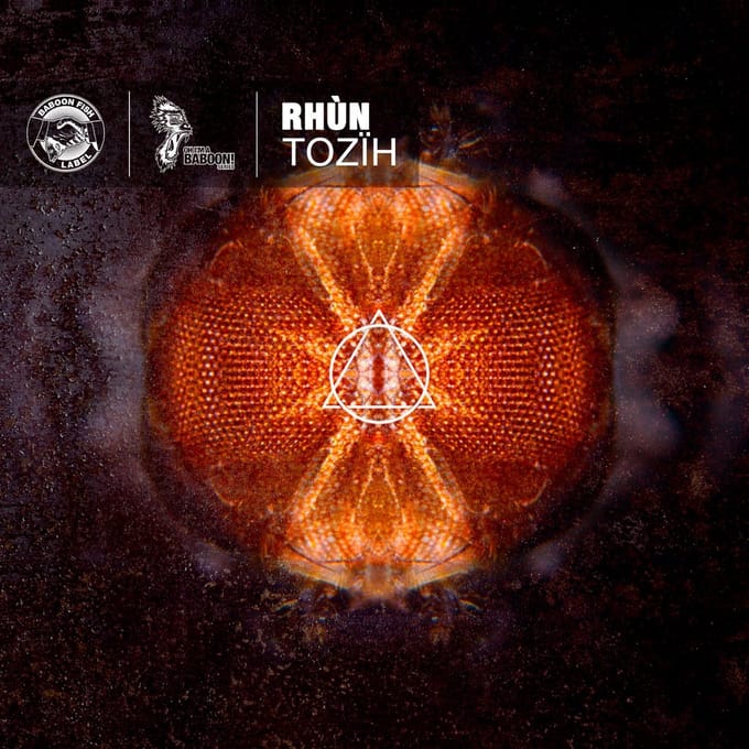 Rhùn - Tozïh (CD)