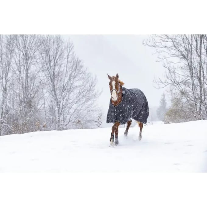 Paardendeken Riding World Oxford