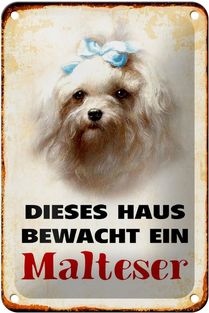 Blechschild Hund 12x18cm dieses Haus bewacht ein Malteser