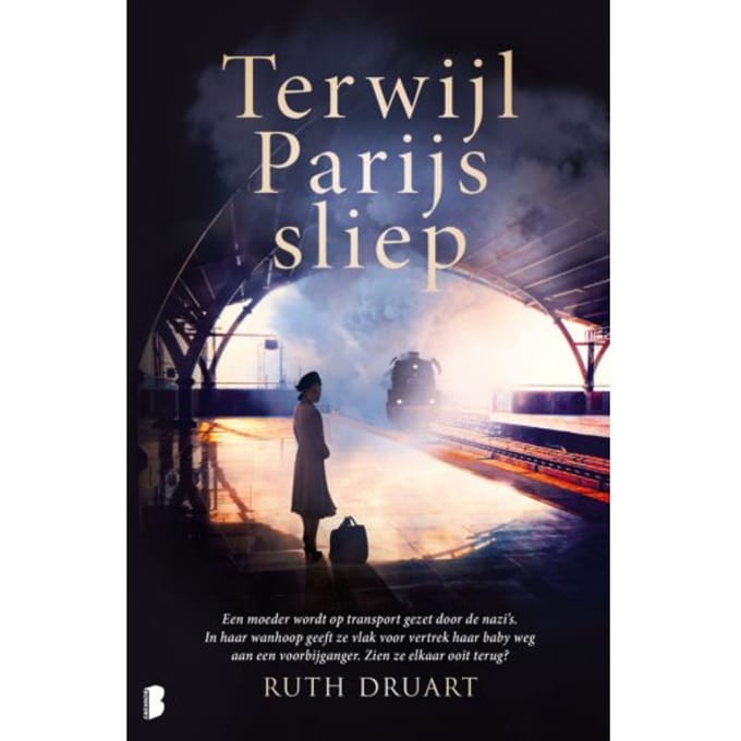 Terwijl Parijs Sliep - Ruth Druart