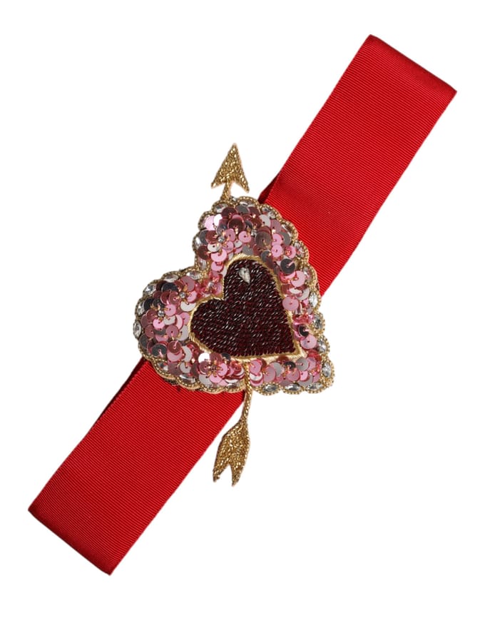 Pailletten Hartriem