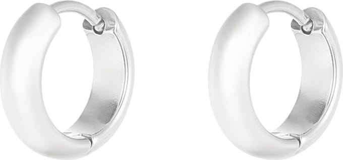 Oorbellen Fine Line Zilver
