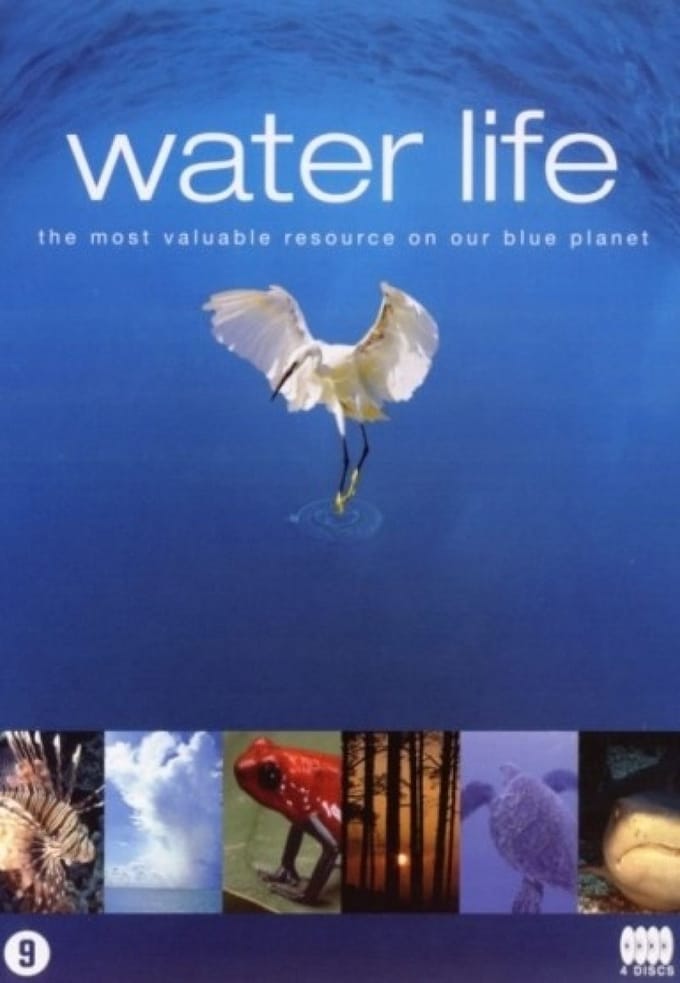 Special Interest - Waterlife